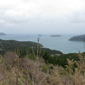 IMG 3996