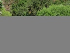 IMG 4006