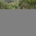 IMG 4025