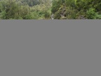 IMG 4025