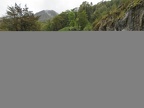 IMG 4027