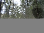 IMG 4028