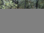 IMG 4037