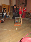 IMG 4233