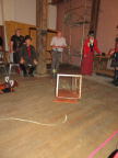 IMG 4235