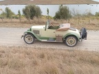 Nelson 112533